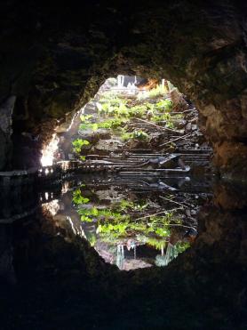 Pohled na nitro jeskyně Jameos del Agua na ostrově Lanzarote Nitro jeskyně Jameos del Agua