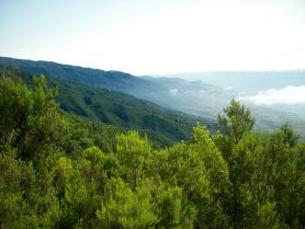 Ostrov La Palma - krajina