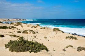 Pláž Corralejo, Fuerteventura