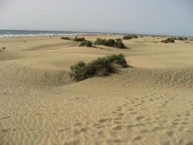 Písečné duny Maspalomas na ostrově Gran Canaria