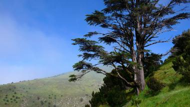 El Hierro - 2. část, Kanárské ostrovy
