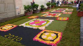 Obraz vytvořený z barevných listů květin ve městě La Orotava