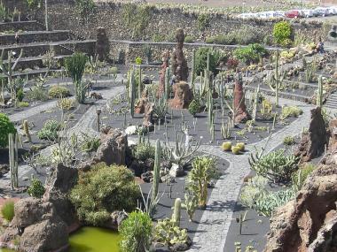 Guatiza - zahrada "Jardin de Cactus"